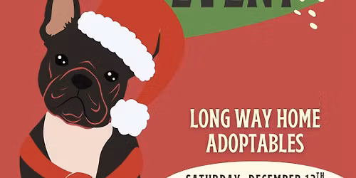 \ud83c\udf81 Jingle Paws Adoption Event \ud83c\udf81