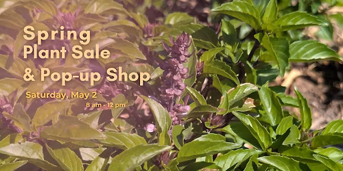 Spring Plant Sale & Pop-up Shop