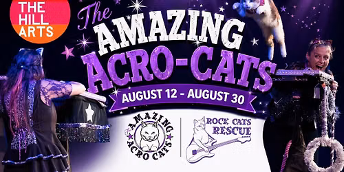 Rock Cats Rescue presents: The Amazing Acro-Cats!