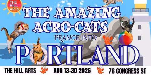Rock Cats Rescue presents: The Amazing Acro-Cats!