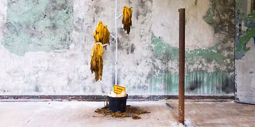 Er\u00f6ffnung der Ausstellung A Worm in the Cherry von Lola G\u00f6ller