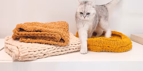 VOLZET Workshop Handbreien: Maak een Kattenmand tussen de Poezen! \ud83d\udc3e