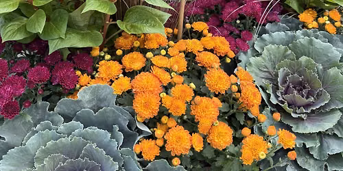 Create Your Fall Planters