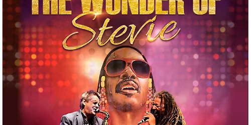 THE WONDER OF STEVIE