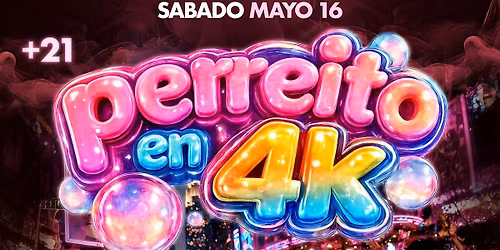 Perreito En 4K