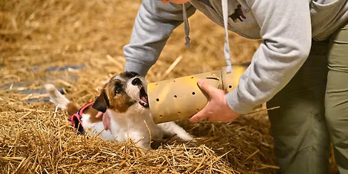 Cudahy Kennel Club Barn Hunt Trial July 17 - 19, 2026