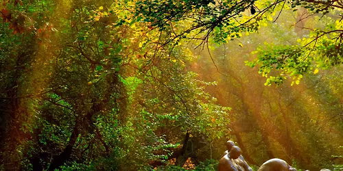 New Moon Intentions: Astrology and Conversation