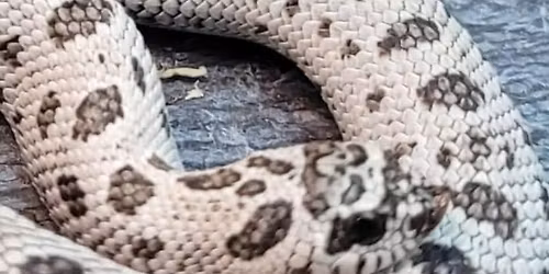 WVRE Huntington. December 21st