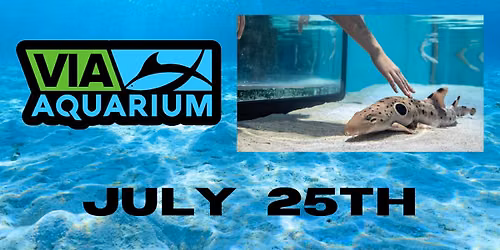Shark Day