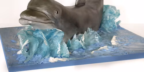 Splash The Dolphin  - Saturday April 18th 2026 - Hemel Hempstead - Hertfordshire