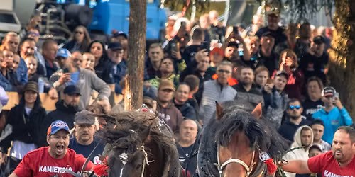 Kamienska Podkova 18 ro\u010dn\u00edk! Medzin\u00e1rodn\u00e9 preteky \u0164a\u017ek\u00fdch kon\u00ed 