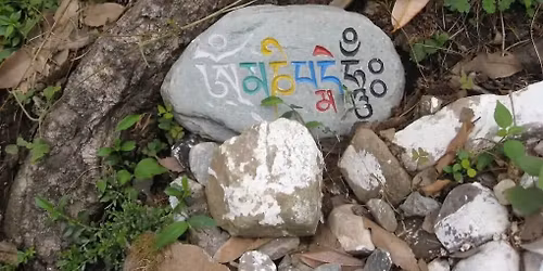 Family Event! Mani Rock Painting Workshop