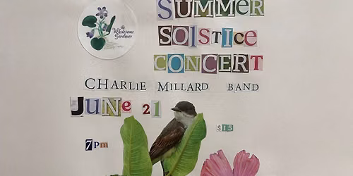 Summer Solstice Concert - CharlieMillard Band