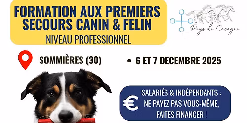 Formation aux premiers secours canin et f\u00e9lin 