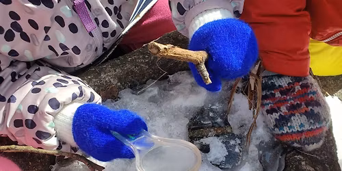 Adventures in Nature: the Frozen World (Free Children's Program)