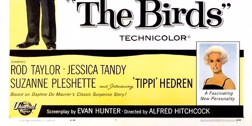 Kupuna Movie Mornings - "THE BIRDS" (1963)