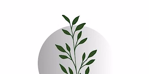 Moon Medicine July 2026 - Full Moon