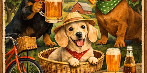 Sausage Dog Social Hour