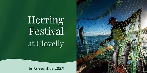 Herring Festival