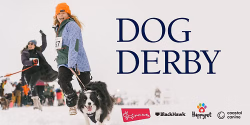 Dog Derby 