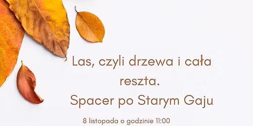 Las, czyli drzewa i ca\u0142a reszta. Spacer po Starym Gaju