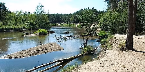 Jednodniowy sp\u0142yw Liwcem + ognisko (z Urli do Kamie\u0144czyka), 17.05 (niedziela)