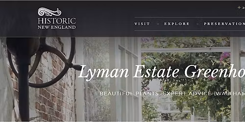 Virtual Program - Houseplants 101