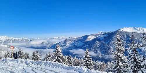 Weihnachtsfeier