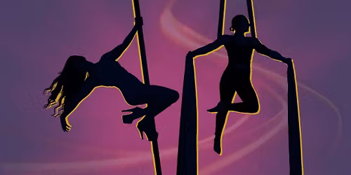 Power, Grace, & Grit - an Alluring Aerial Experience