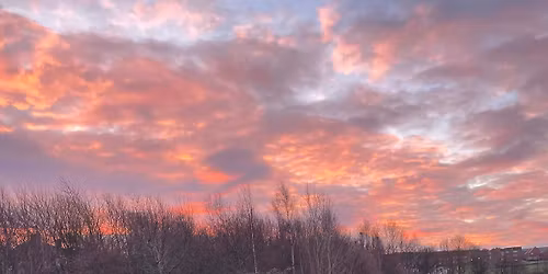 Arbourthorne Rec Ground Litter Pick