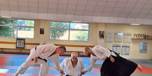 Sta\u017c aikido - Pascal Durchon (6 dan)
