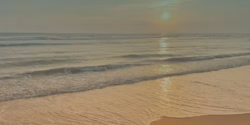 Wheeland Brothers in Fort Lauderdale