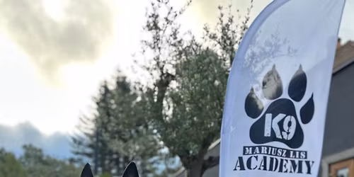 Maj\u00f3wka Oliwne Wzg\u00f3rza