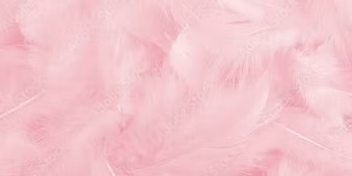 Pretty In Pink Sip and Shop