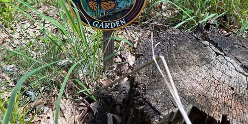 Help Plant the New Pollinator Garden