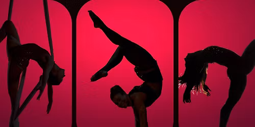 Clara's Trip Full Show: A Cirque & Dance Nutcracker Story