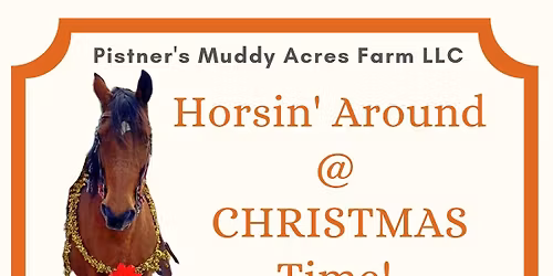 Horsin' Around at Christmas Time!\ud83c\udf84