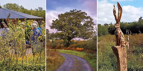 Nature Walks at Quince Honey Farm