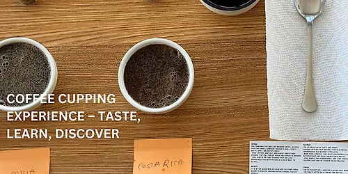 Coffee Cupping Experience \u2013 Taste, Learn, Discover