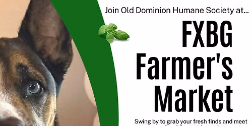 Farmer's Market Adoption Event - October 10
