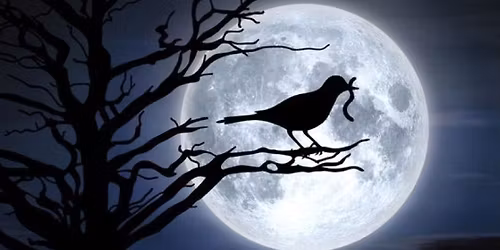 Full moon Sound bath