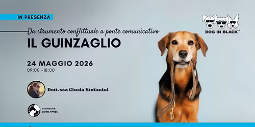 Il guinzaglio: da strumento conflittuale a ponte comunicativo