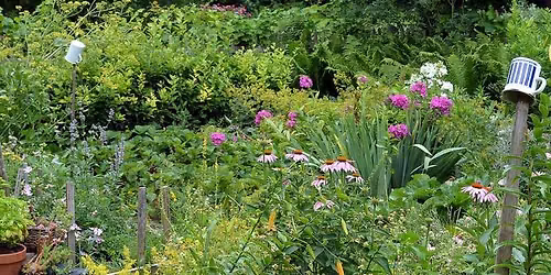 Creating Sensory Garden Spaces