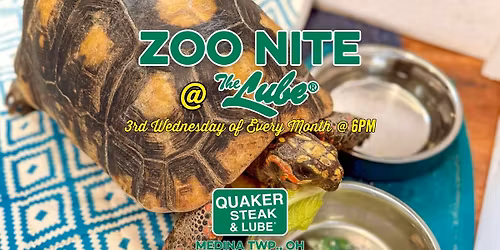 Zoo Night!