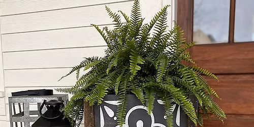 Double-Sided Box Planter Workshop