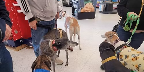 Meet & Greet - Enfield CT Petco 
