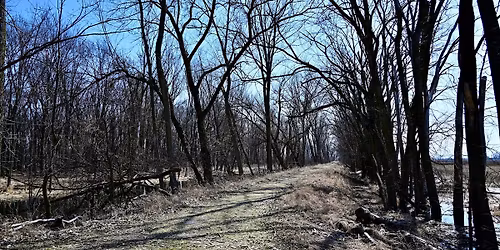 Earth Day Guided Hike