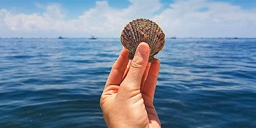 Scalloping Dayaway | MarineMax Fort Walton Beach