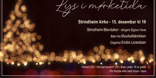 Lys i m\u00f8rketida