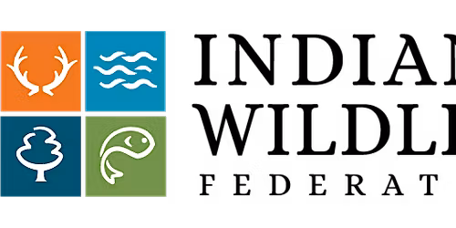 Native Gardening for Wildlife with Indiana Wildlife Federation